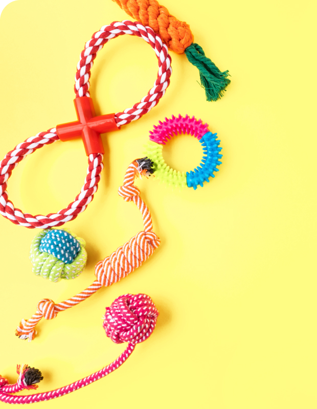 大小の茶色のジッパーバッグに入っているドッグフード